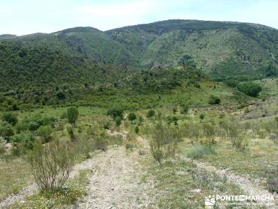 Carcavas de Alpedrete de la Sierra y Meandros del Lozoya;conocer gente madrid;rutas madrid